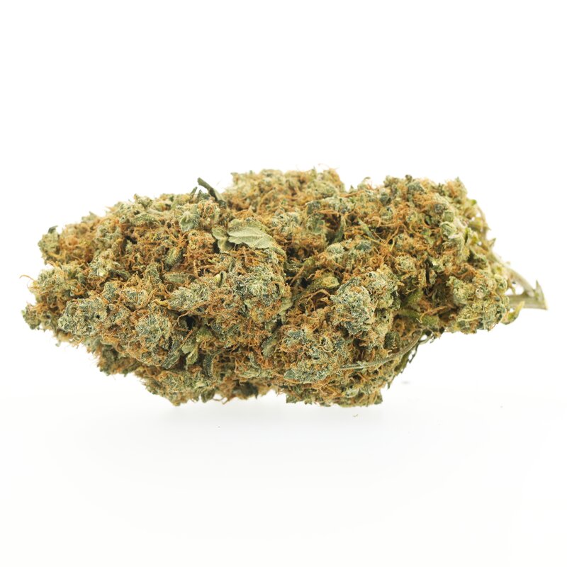 Jack Herer - Fleurs CBD