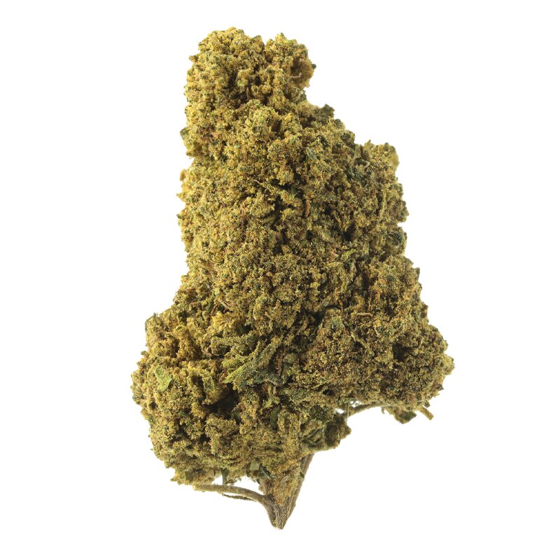 White Dawg - Fleurs CBD